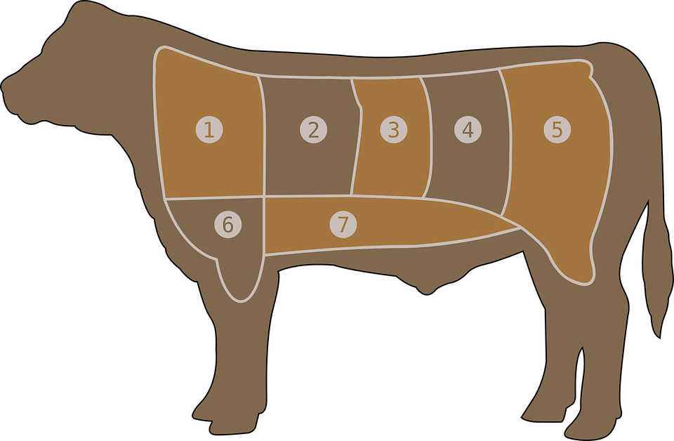 meat-chart-29043_960_720